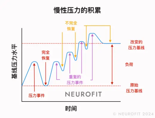 如何通过定期实践降低皮质醇水平？