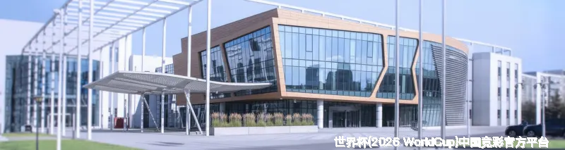 数据极客与球迷共同体